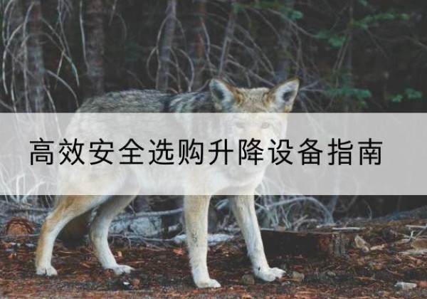 阿巴嘎旗升降货梯厂家推荐-*安全选购升降设备指南