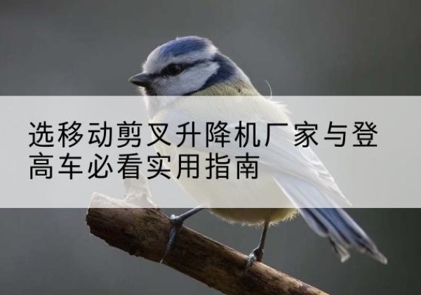 阿巴嘎旗电动升降机厂家-选移动剪叉升降机厂家与登高车必看实用指南