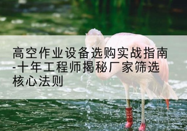 阿巴嘎旗剪叉式升降机厂家-高空作业设备选购实战指南-十年工程师揭秘厂家筛选核心法则